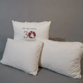 Imperial Knight Firm Pillow