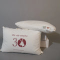 Imperial Knight Soft Pillow